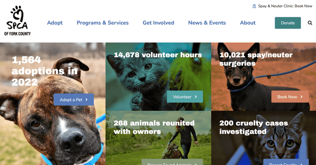 YCSPCA